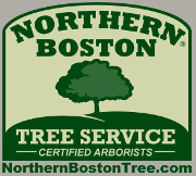 Northern Boston Tree Service® Inc.